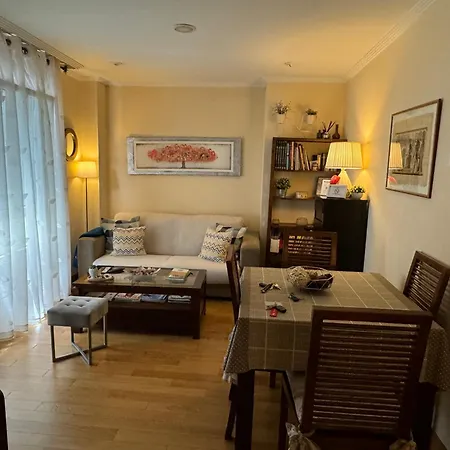 Centrico Apartamento. Parking Incl. Vigo Exterior photo