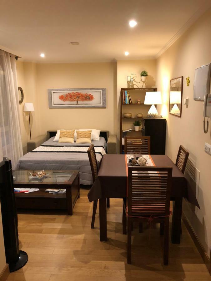 Centrico Apartamento. Parking Incl. Apartment *